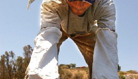<!--:es-->HAY AYUDA FINANCIERA PARA DAMNIFICADOS DE HELADAS EN CALIFORNIA<!--:-->
