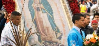 <!--:es-->COMIENZAN LOS PREPARATIVOS PARA CELEBRAR A LA VIRGEN DE GUADALUPE<!--:-->