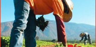 <!--:es-->Una lucha constante por
SALARIOS JUSTOS
y CONDICIONES LABORALES DIGNAS<!--:-->