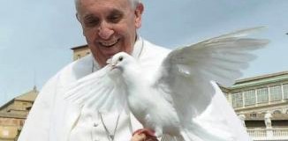 <!--:es-->PAPA FRANCISCO: ¡QUE SE ELEVE FUERTE EN TODA LA TIERRA EL GRITO DE LA PAZ!<!--:-->