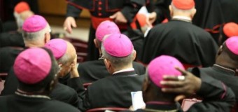 <!--:es-->PADRES SINODALES PIDEN SERIOS CAMBIOS EN DOCUMENTO DEL SÍNODO<!--:-->