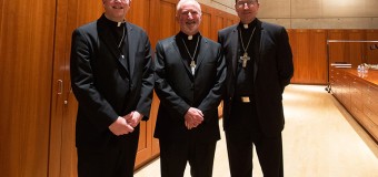 <!--:es-->NUEVOS PASTORES PARA LA VIÑA DE LA IGLESIA<!--:-->