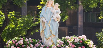 <!--:es-->CALENDARIO DE LA CATEDRAL DE NUESTRA SEÑORA DE LOS ÁNGELES DEL MES DE AGOSTO, 2015 <!--:-->