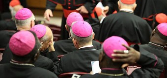 <!--:es-->SÍNODO: ONCE CARDENALES UNEN FUERZAS PARA DEFENDER MATRIMONIO Y FAMILIA EN NUEVO LIBRO<!--:-->