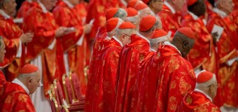 <!--:es-->CONSEJO DE CARDENALES ANALIZA POSIBLE NUEVO PROCESO PARA SELECCIÓN DE OBISPOS<!--:-->
