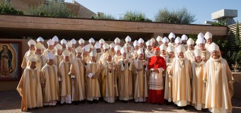 <!--:es-->LA SELECCIÓN DE UN OBISPO AUXILIAR<!--:-->