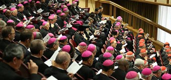 <!--:es-->ASÍ SERÁ EL SÍNODO DE LA FAMILIA 2015: QUIÉNES PARTICIPAN Y CÓMO FUNCIONA<!--:-->