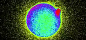 CIENCIA Y FE COINCIDEN EN LA “CHISPA” QUE MARCA EL INICIO DE LA VIDA