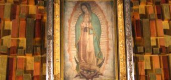 ARZOBISPO DE LOS ÁNGELES LIDERARÁ PEREGRINACIÓN A LA VIRGEN DE GUADALUPE EN MÉXICO