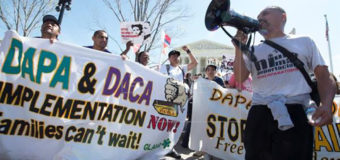 EL CIERRE DE DACA CAUSARÍA PÉRDIDAS MILLONARIAS