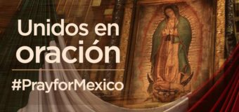 TERREMOTO EN MÉXICO: OBISPOS PIDEN ORACIONES Y SOLIDARIDAD