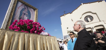 SIGUIENDO A MARÍA EN EL ADVIENTO