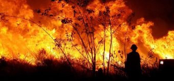 ARQUIDIÓCESIS DE LOS ÁNGELES CREA FONDO DE AYUDA PARA AFECTADOS POR INCENDIOS