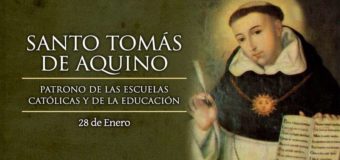 HOY ES LA FIESTA DE SANTO TOMÁS DE AQUINO, DOCTOR DE LA IGLESIA