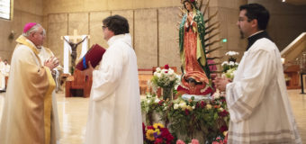 VAYAN A JESÚS A TRAVÉS DE MARÍA