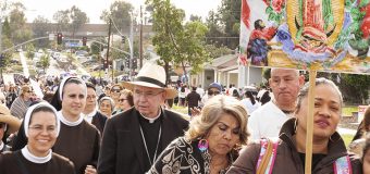 VIRGEN DE GUADALUPE: ‘ARCA DE SALVACIÓN’