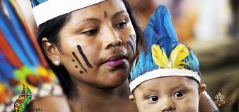 SÍNODO: “CREATIVIDAD” DE LA IGLESIA PARA NUEVOS MINISTERIOS EN LA AMAZONÍA